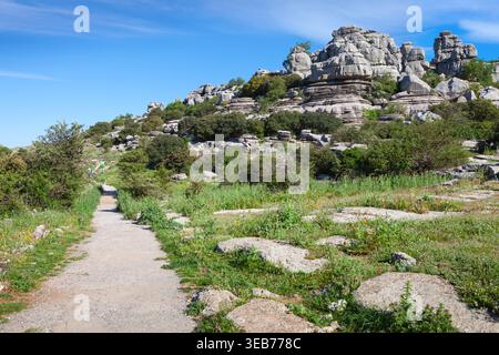 Blick vom Wanderweg auf das Naturphänomen der Karsterosion in El Torcal de Antequera im späten Frühjahr. El Torcal de Antequera ist ein Naturfreund Stockfoto