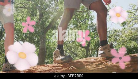 Balancieren Sie die Unterschenkel von zwei Wanderern entlang des gefallenen Baumstamms im Wald mit Shorts Socken Schuhen rosa Überzügen Stockfoto