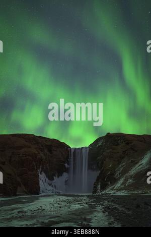 Blick auf den Skogafoss-Wasserfall mit der grünen Aurora Borealis, die am sternenklaren Nachthimmel über dunklen Klippen in Vik, Myrdalshreppur, Island tanzen. Stockfoto