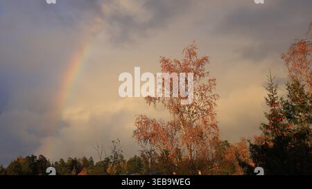 Herbstlicher Regenbogen über farbenfrohe Waldlandschaft bei der Golden Hour Stockfoto