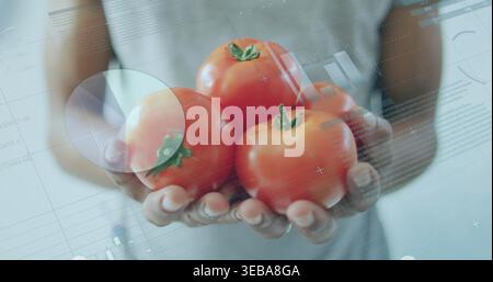 Ein mittelgroßer Mann mit Kurzarm-T-Shirt, der drei Tomaten im Studio anbietet, mit Daten-Overlay Stockfoto