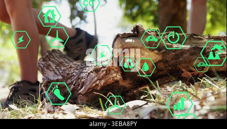 Mit AR Eco-Ikonen und Sneakern werden gefallene, verfaulte Baumstämme auf dem Boden des Waldes hervorgehoben Stockfoto