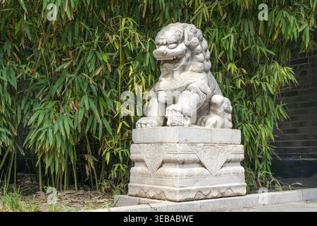 Die Löwenstatue aus Stein befindet sich vor dem Bambuswald Stockfoto