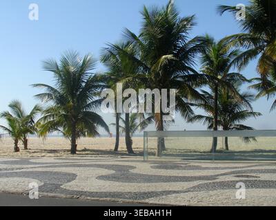 Kokospalmen, Strand, Copacabana, Rio de Janeiro, Brasilien Stockfoto