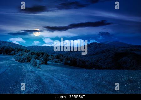 Wunderschöne Landschaft der ukraine bei Nacht. Geheimnisvoller Blick auf die sommerliche Landschaft in den Bergen. Vollmond über dem Weg durch das grasbewachsene Feld in der Nähe von Fo Stockfoto