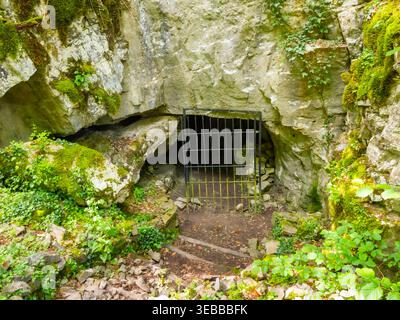 Wanderweg der sieben Wasserfälle (Staza 7 slapova) in Buzet, Istrien, Kroatien, Europa Stockfoto