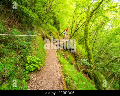 Wanderweg der sieben Wasserfälle (Staza 7 slapova) in Buzet, Istrien, Kroatien, Europa Stockfoto