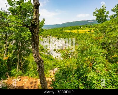 Wanderweg der sieben Wasserfälle (Staza 7 slapova) in Buzet, Istrien, Kroatien, Europa Stockfoto