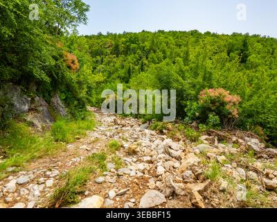 Wanderweg der sieben Wasserfälle (Staza 7 slapova) in Buzet, Istrien, Kroatien, Europa Stockfoto