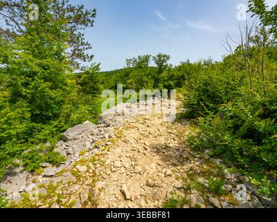 Wanderweg der sieben Wasserfälle (Staza 7 slapova) in Buzet, Istrien, Kroatien, Europa Stockfoto