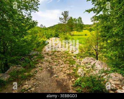 Wanderweg der sieben Wasserfälle (Staza 7 slapova) in Buzet, Istrien, Kroatien, Europa Stockfoto
