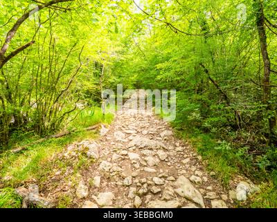 Wanderweg der sieben Wasserfälle (Staza 7 slapova) in Buzet, Istrien, Kroatien, Europa Stockfoto