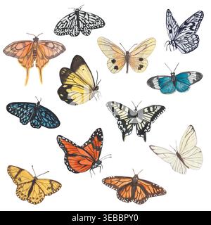 Bunte Aquarellfalter isoliert auf weißem Hintergrund. Frühjahrsillustration von Schmetterlingen in Orange. Geeignet für Abdeckungen, Backgrou Stockfoto