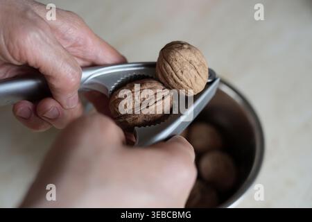 Die Hände einer Frau, die den Wert der Wärme zu Hause kennt, enthüllen die Geheimnisse der Walnüsse. Stockfoto