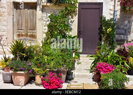 Eingang des mediterranen Hauses mit bunten Blumen und Pflanzen in Giovinazzo Italien Stockfoto