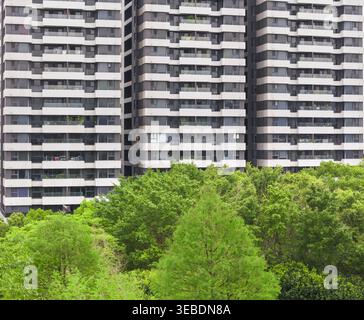 Blick aus der Vogelperspektive auf moderne Wohnhäuser mit gestreiften Fassaden und Balkonen mit Blick auf üppig grüne Bäume in Taiwan. Stockfoto