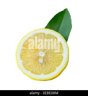 Vorderansicht reifer gelber Zitronenfrüchte in einer kreisförmigen Scheibe mit ihrem grünen Blatt ist auf weißem Hintergrund mit Schnittpfad isoliert. Stockfoto
