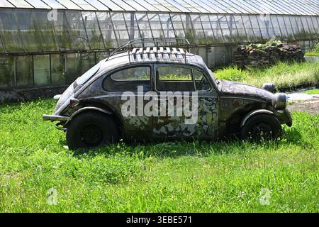 Der alte, rostige Volkswagen-Käfer ist auf einem verlassenen Oldtimer in den Boden gesunken Stockfoto