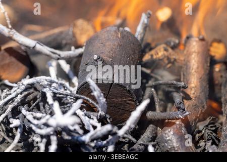 Die Äste brennen in Flammen, dünne verbrannte Äste mit orangen Flammen und graue Asche mit klaren Details von brennendem Holz und organischer Makrostruktur. Stockfoto