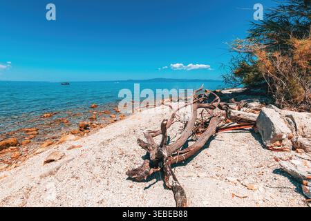 Malerischer felsiger Strand mit Treibholz am Ufer, klarem türkisfarbenem Meer und fernen Bergen unter einem leuchtend blauen Himmel. Friedliches und natürliches Mittelmeer Stockfoto