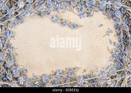 Draufsicht auf einen dicken Rahmen aus detaillierten getrockneten Lavendelblüten auf einem Hintergrund aus Kraftpapier Stockfoto