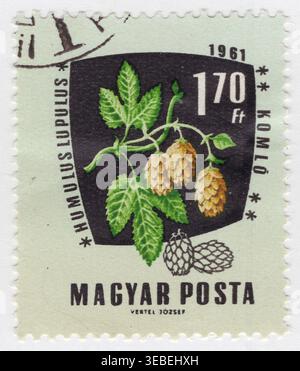 UNGARN – 4. November 1961: 1,70 farbige Briefmarke mit gemeinem Hopfen (Humulus Lupulus), auf Ungarisch komló. Sie zeigt eine Kletterrebe mit gezackten, gelappten grünen Blättern und herabhängenden kegelförmigen Blüten, die Strobiles genannt werden. Diese Kegel enthalten Lupulin, ein Harz, das hauptsächlich als Bitterstoff- und Stabilitätsmittel in der Bierbrauerei verwendet wird. Die in Europa heimische Pflanze ist eine kräftige Staude, die bis zu sieben Meter wächst. Neben dem Brauen wird es in der Vergangenheit als Beruhigungsmittel in der traditionellen Medizin und für seine haltbaren Fasern verwendet Stockfoto