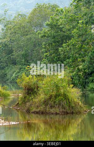 Ein vertikales Bild einer kleinen üppigen Insel in einem ruhigen tropischen Fluss mit klaren Wasserspiegeln und dichtem Wald. Kota Tinggi, Malaysia Stockfoto