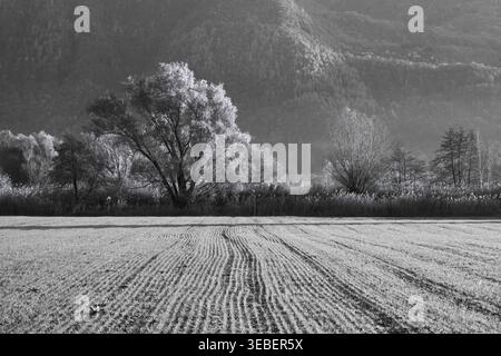 Schwarz-weiß-Blick auf das Naturreservat Pian di Spagna, Italien, mit bebauten Feldern, Bäumen und Berglandschaft. Stockfoto