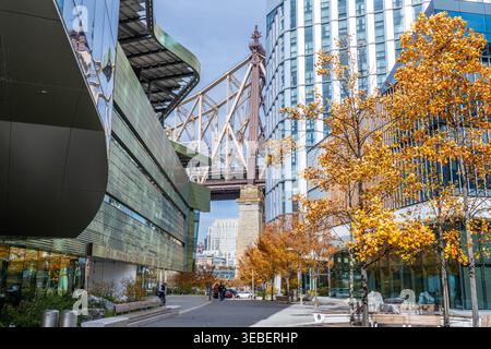 New York City New York – 8. November 2025: Der Cornell Tech Campus und die Queensboro Bridge auf Roosevelt Island in New York City Stockfoto