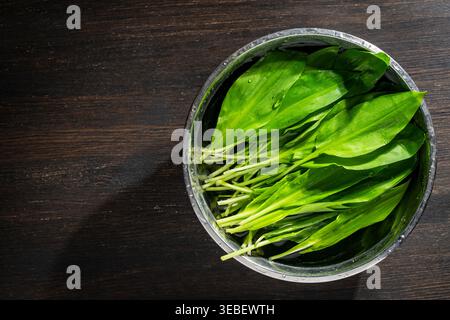 Gewaschener frischer WildKnoblauch oder Ramson-Blätter in einer Stahlschale mit Wasser auf einem rustikalen dunklen hölzernen Hintergrund, Nahaufnahme. Saisonales Frühlingsgrün für gesund Stockfoto
