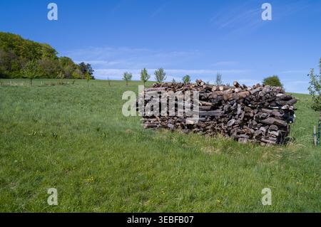 Ein großer Stapel Brennholz ist ordentlich auf einem grünen Feld unter einem klaren blauen Himmel gestapelt. Dieses Holz wurde von den Anwohnern geschnitten und gestapelt, um zu saisonieren, Providi Stockfoto