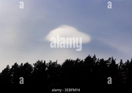 Eine einzigartige Lentikularwolke in Form einer Untertasse, die über einem dunklen Walddach schwebt und an einem Frühlingstag im April eine geheimnisvolle außerirdische Atmosphäre schafft Stockfoto
