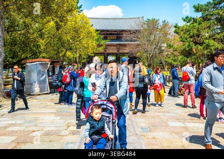 Nara, Japan - 15. April 2019: Menschen Chinesische Familientouristen gehen mit Kinderwagen des Todaji-Tempels in der Stadt auf dem Straßengelände und füttern sika-Hirsche Stockfoto