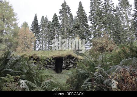 Alte Steinhütte mit Rasendach im Allean Forest, Schottland, umgeben von Farnen und hohen Kiefern auf einem friedlichen Waldweg Stockfoto