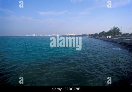 Menschen schlendern entlang der von Palmen gesäumten Doha Corniche Promenade mit Blick auf den Arabischen Golf in Doha, Katar. Stockfoto