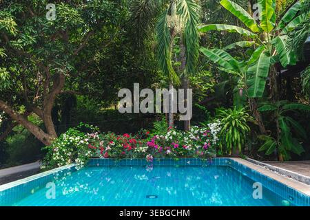 Tropischer Swimmingpool, umgeben von einem üppigen Garten mit Blumen und Palmen Stockfoto