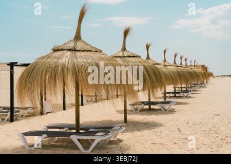 Perspektivische Ansicht von Strohschirmen und Liegestühlen, die sich wiederholende Muster über den Sandstrand unter weichen Wolken bilden. Stockfoto