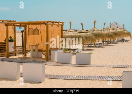 Gemütliche Strandhütte mit hängenden Stühlen steht neben ordentlichen Strohschirmen und Liegestühlen am Sandstrand. Stockfoto