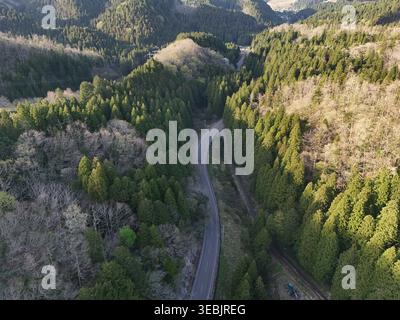 Kurvenreiche Straße führt durch dicht bewaldete Hügel. Goldenes Licht taucht die Bäume und das sanfte Gelände. Die Fahrzeuge fahren auf dem schmalen, kurvenreichen Weg. Nat Stockfoto