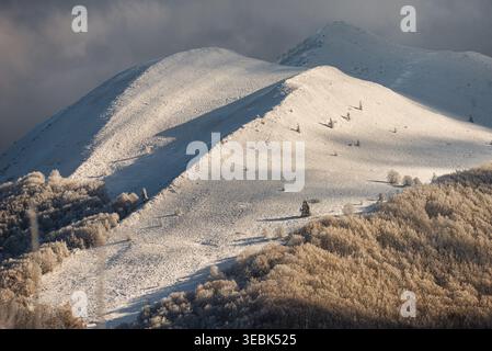 Atemberaubendes Winterpanorama der schneebedeckten Karynska-Wiese (Polonina Carynska) in den Bieszczady-Bergen. Atemberaubender Bergrücken mit goldener Stunde Stockfoto