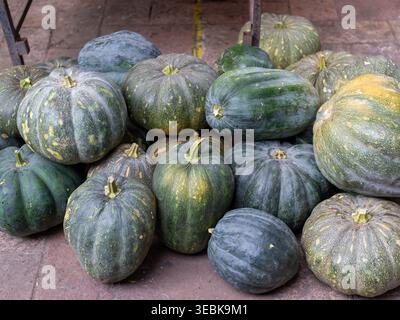 Frische, rustikale Grüne Kürbisse werden im Herbst auf einem Bauernmarkt ausgestellt Stockfoto