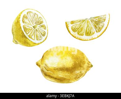 Zitronenset. Ganz, die Hälfte und Scheibe der saftigen Frucht. Handgezeichnete Illustration der Zitrusfrucht isoliert auf weiß. Aquarell-Clip-Art für Lebensmitteletikett Stockfoto