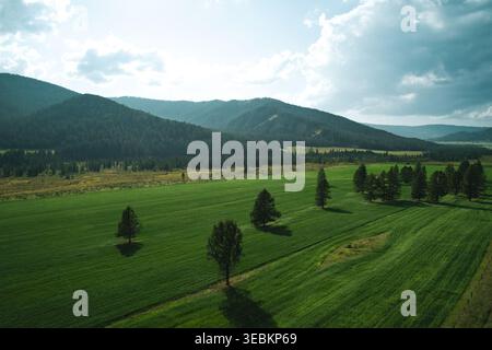 Die Luftaufnahme zeigt weitläufige grüne Felder, die von dichten Waldbergen umgeben sind, unter einem hellen, bewölkten Nachmittagshimmel Stockfoto