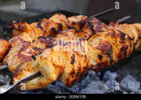 Saftige gegrillte Hähnchenspieße schaschig kochen auf Holzkohlegrill im Freien Stockfoto
