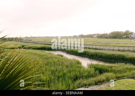 Promenade führt durch Marsh-Gräser Stockfoto