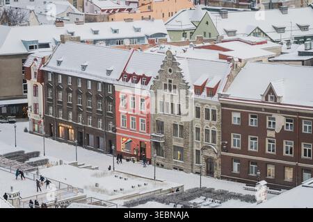 Tallinn, Estland - 03. Januar 2025: Blick auf schneebedeckte historische Fassaden, deren lebhafte Farbtöne sich in starkem Kontrast zur unberührten weißen Winterlandschaft bilden Stockfoto