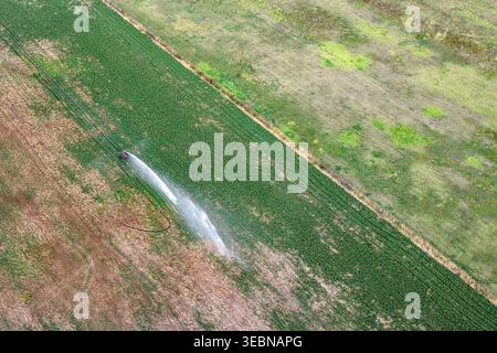 Luftaufnahme nach unten auf Wanderbewässerungsanlage, die Ackerland in New South Wales, Australien, bewässert. Landwirtschaftliche Landschaft mit Bewässerungssystem-Verteilung Stockfoto