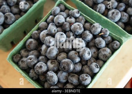 Heidelbeeren im Behälter auf dem Tisch Stockfoto