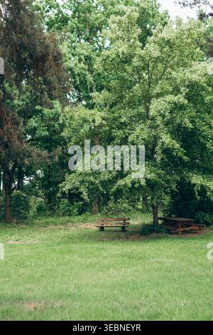 Die Menschen versammeln sich in einem Park mit Holzbänken unter großen grünen Bäumen. Die Umgebung zeigt Laub und offene Rasenflächen, die zu Aktivitäten im Freien einladen Stockfoto