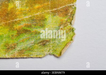 Nahaufnahme eines strukturierten, abstrakten Musters mit grünen und gelben Farbtönen Stockfoto